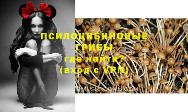 ECSTASY Балахна